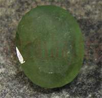 No Image Found